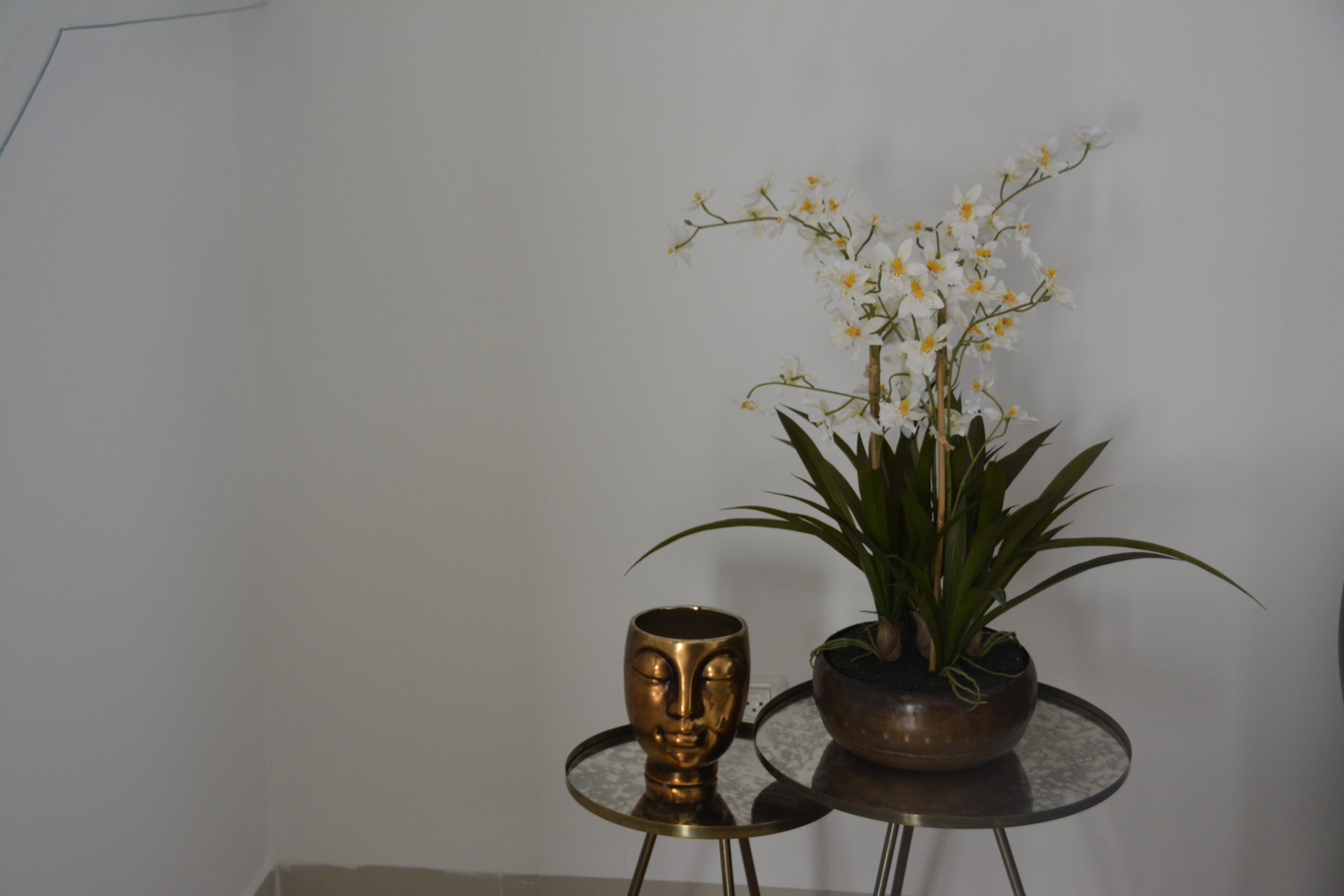 עיצוב-פנים-דו-משפחתי (4)